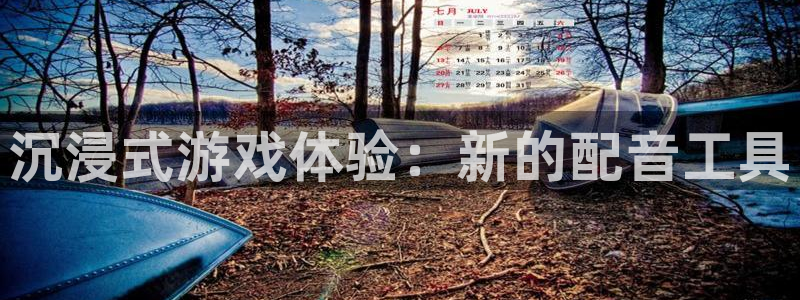极悦娱乐平台登录线路：沉浸式游戏体验：新的配音工具