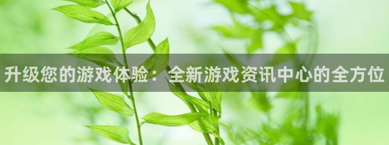 极悦娱乐主管：升级您的游戏体验：全新游戏资讯中心的全方位