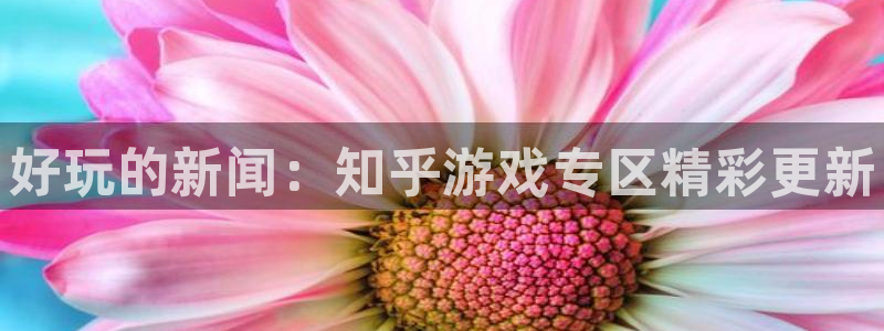 极悦娱乐平台登录：好玩的新闻：知乎游戏专区精彩更新