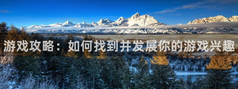 极悦娱乐什么意思：游戏攻略：如何找到并发展你的游戏兴趣