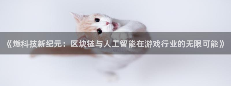 极悦娱乐网页登录入口官网：《燃科技新纪元：区块链与人工智能在