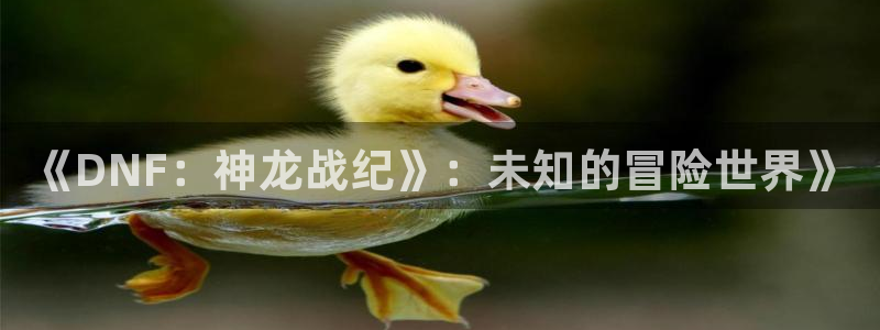 极悦娱乐登录网址：《DNF：神龙战纪》：未知的冒险世界》