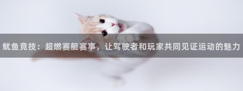 极悦娱乐4主管：鱿鱼竞技：超燃赛艇赛事，让驾驶者和玩家共同见