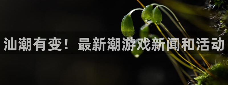 极悦娱乐网页登录入口下载：汕潮有变！最新潮游戏新闻和活动