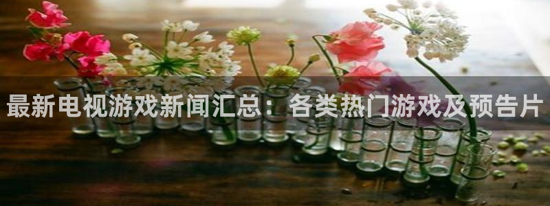 极悦娱乐登陆：最新电视游戏新闻汇总：各类热门游戏及预告片
