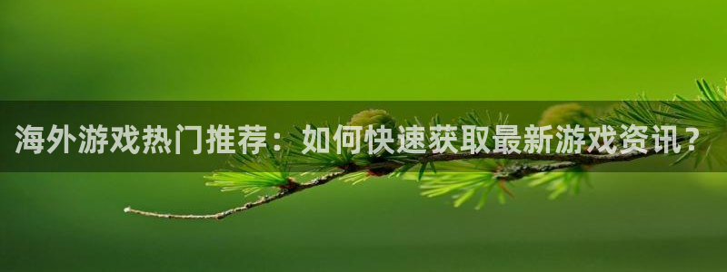 极悦娱乐注册服务条款：海外游戏热门推荐：如何快速获取最新游戏