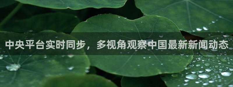 雨燕足球直播网址：中央平台实时同步，多视角观察中国最新新闻动态