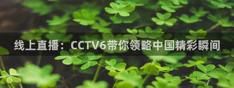 雨燕直播免费体育直播：线上直播：CCTV6带你领略中国精彩瞬间