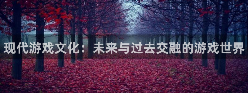 极悦娱乐Ii：现代游戏文化：未来与过去交融的游戏世界