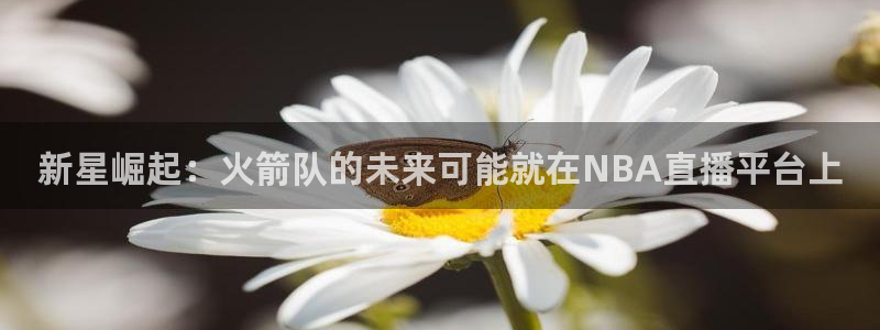 雨燕app直播足球：新星崛起：火箭队的未来可能就在NBA直播平台上