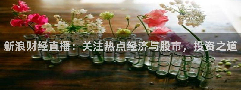 雨燕360体育直播足球
