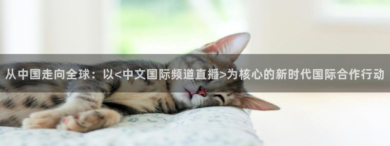 nba免费直播雨燕体育：从中国走向全球：以<中文国际频道直播>为核心的新时代国际合作行动
